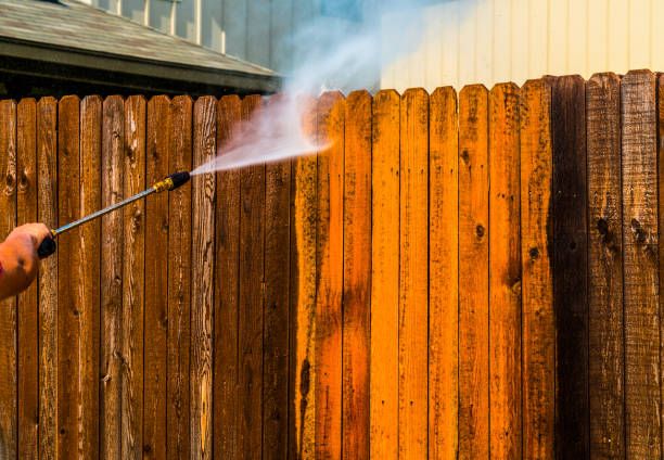 Wood fence cleaning and restoration in Titusville Florida using professional soft washing techniques